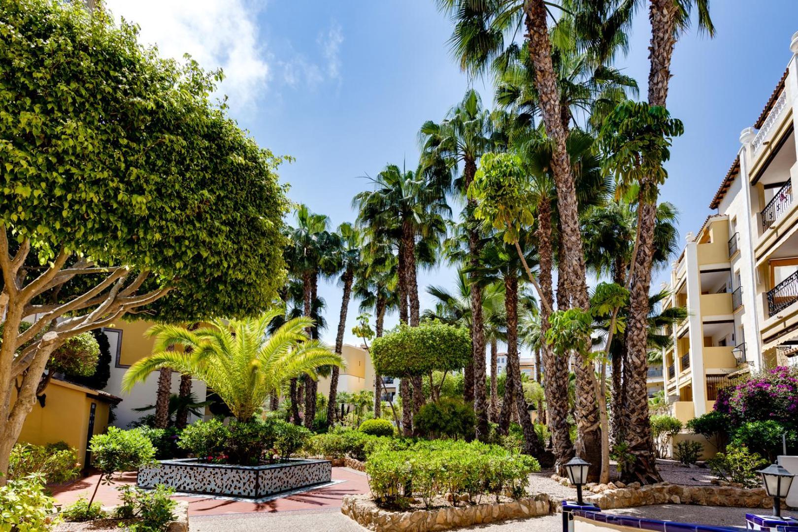 Premium Apartment Beach Aldea Del Mar Τορεβιέχα Εξωτερικό φωτογραφία